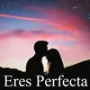 About Eres Perfecta Song