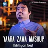 About Yaara Zama Mashup Song