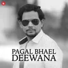 About Pagal Bhael Deewana Song