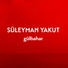 About Gülbahar Song