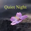 About Quiet Night Song