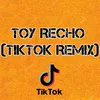 About Toy Recho (TikTok Remix) Song