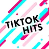 About TikTok Hits Song