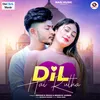 About Dil Hai Rutha Song