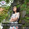 About Wedi Ngungkapno Song