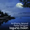 About Laguna Moon Song