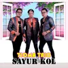 About Sayur Kol Song
