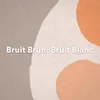 Bruit Brun, Bruit Blanc, pt. 1