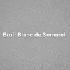 Bruit Blanc de Sommeil, pt. 8