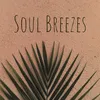 About Soul Breezes Song