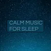 Calm Music for Sleep