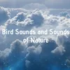 relaxing music background