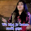 About Wo ishq jo hamse rooth gaya Song