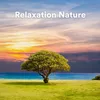 Piano relaxant et nature