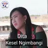 Kesel Ngimbangi