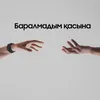 About Баралмадым қасына Song