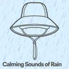 Calming Sounds of Rain, Pt. 2