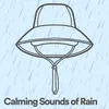 Calming Sounds of Rain, Pt. 6