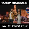 About Nu se simte vina Song