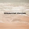 About Шашылсын жылуың Song