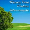 Música Para Meditar Intensamente