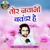 About Tor Jawani Bawandar He Song