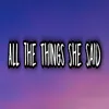 About All The Things She Said Song
