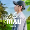 About Phai Màu Song