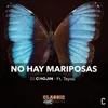 About No hay mariposas Song