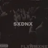 About SXDNX Song