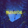 About Subside Song