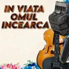 About In viata omul incearca Song
