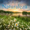 About Naturaleza Song