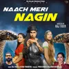 About Naach Meri Nagin Song