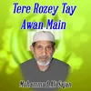 About Tere Rozey Tay Awan Main Song