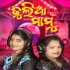 About Dhulia Mamu Song