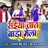 About Saiya Jaat Bada Mela Song