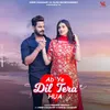 About Ab Ye Dil Tera Hua Song