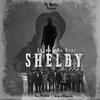 About Shelby Song