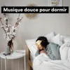 musique détente