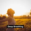 Soothing Music For Relaxing