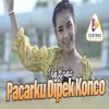 About Pacarku Dipek Konco Song