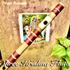 About Shree Krishna Flute Song