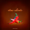 About Ritmo Caliente Song