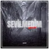 About Sevilmedim Song