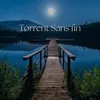 Torrent Sans fin