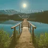 Nocturnal Symphony Of Nature