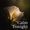 Calm Tonight