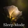 Sleep Mode