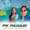 About PK Pahadi Song